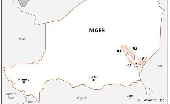 Savannah Petroleum announces Bushiya oil discovery, onshore Niger